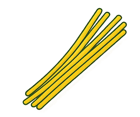 SPAGHETTI makarna